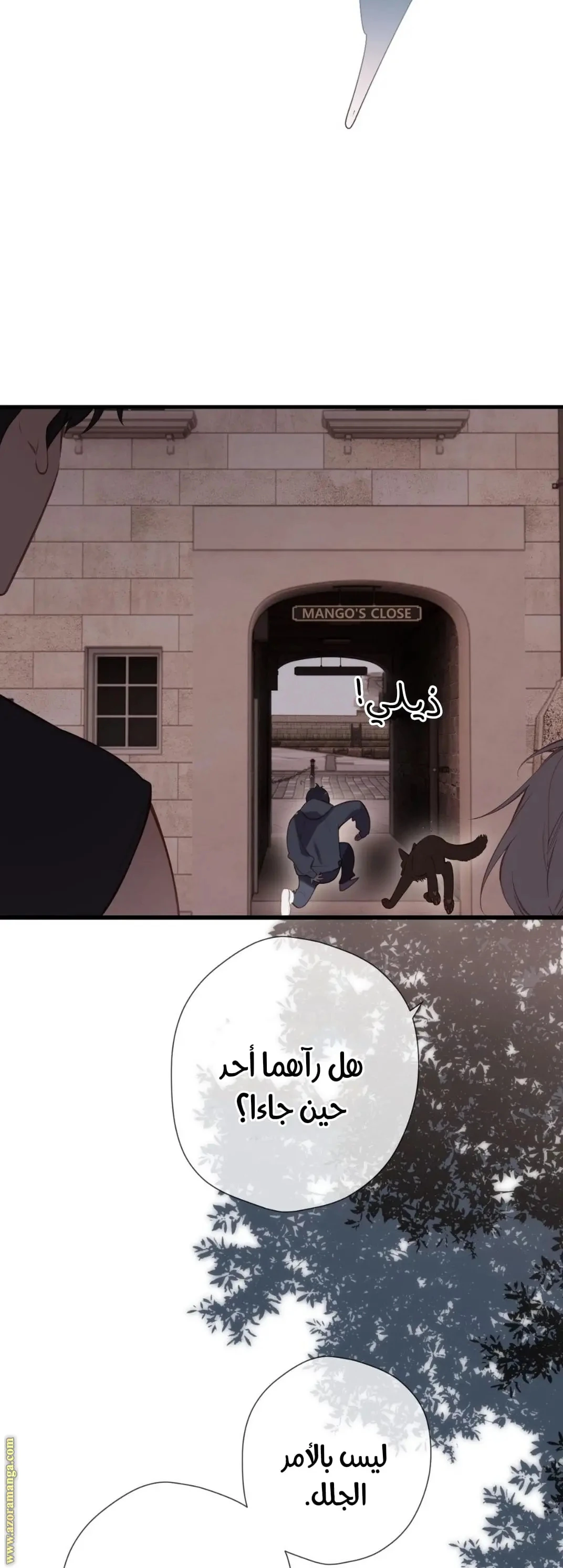 الصفحة 13