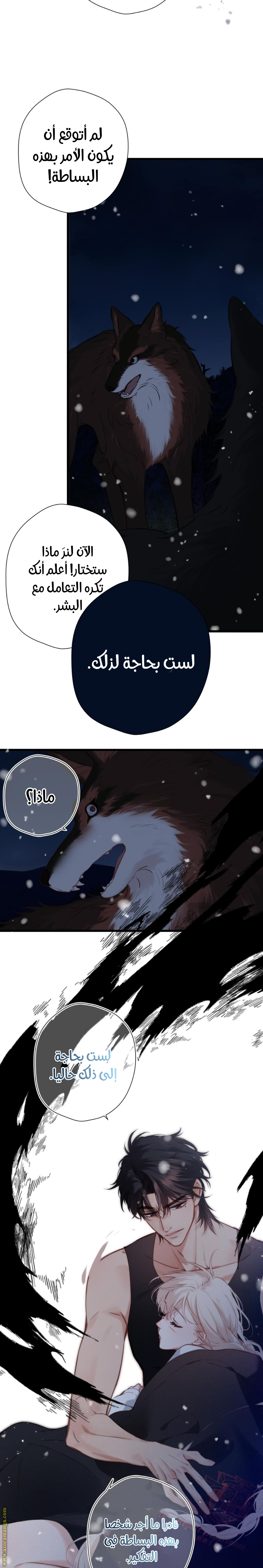 الصفحة 5
