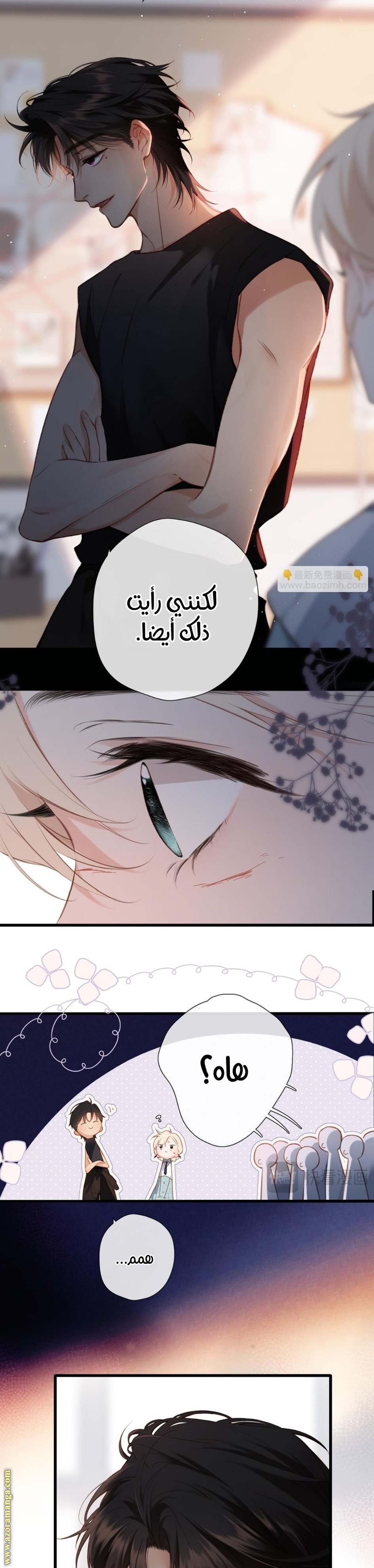 الصفحة 13