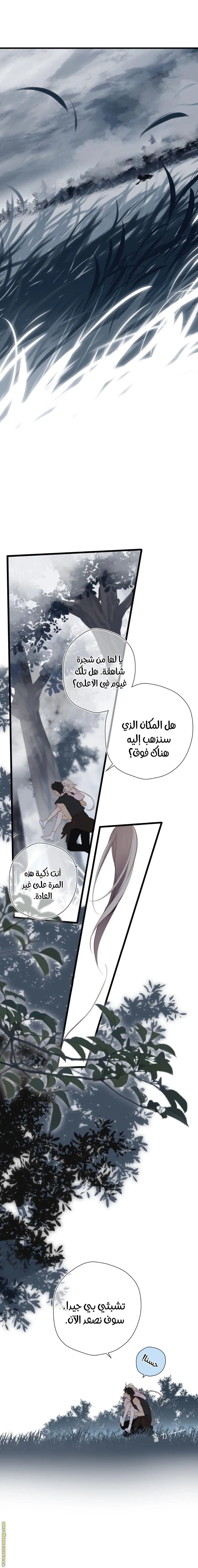 الصفحة 11