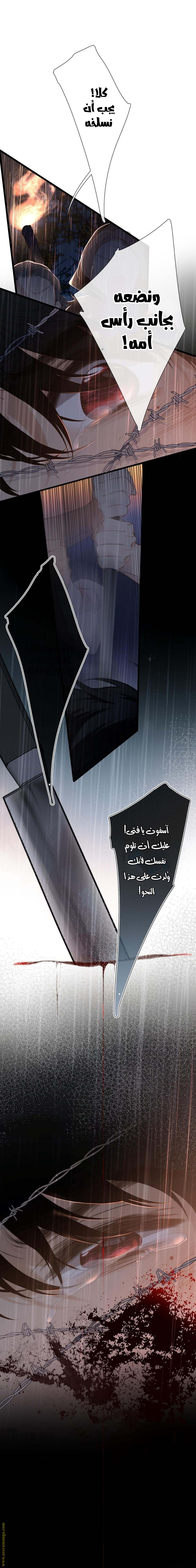 الصفحة 11
