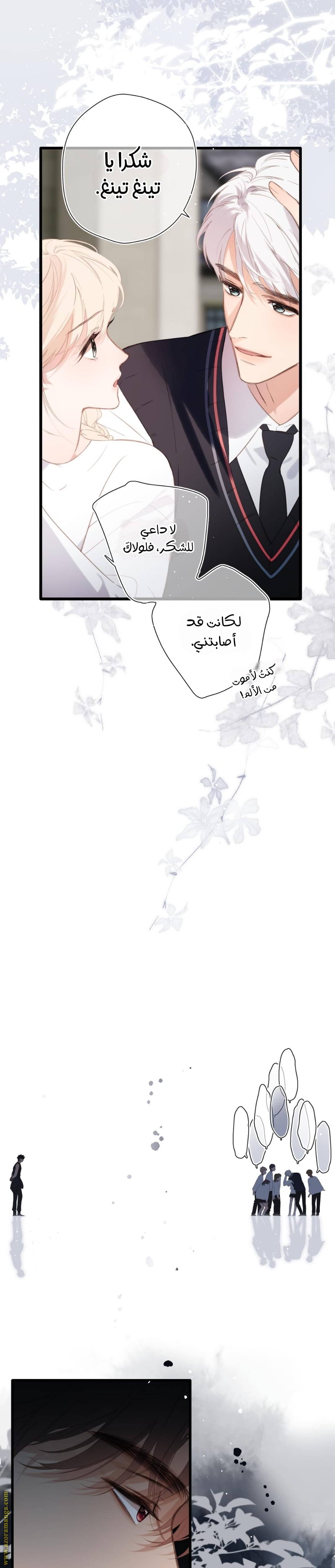 الصفحة 5