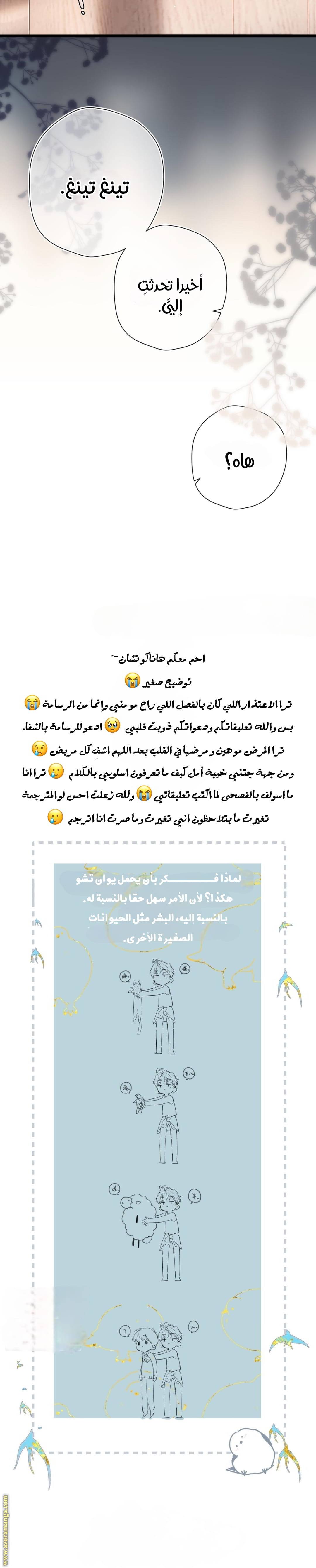 الصفحة 19