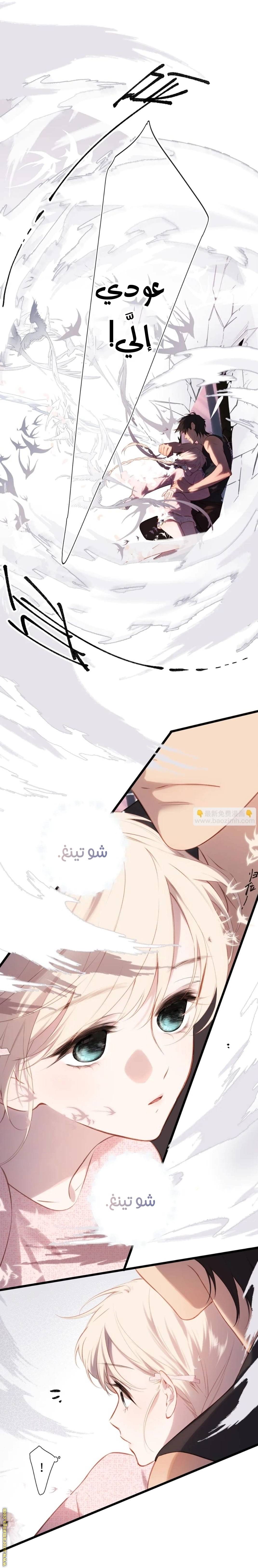 الصفحة 14