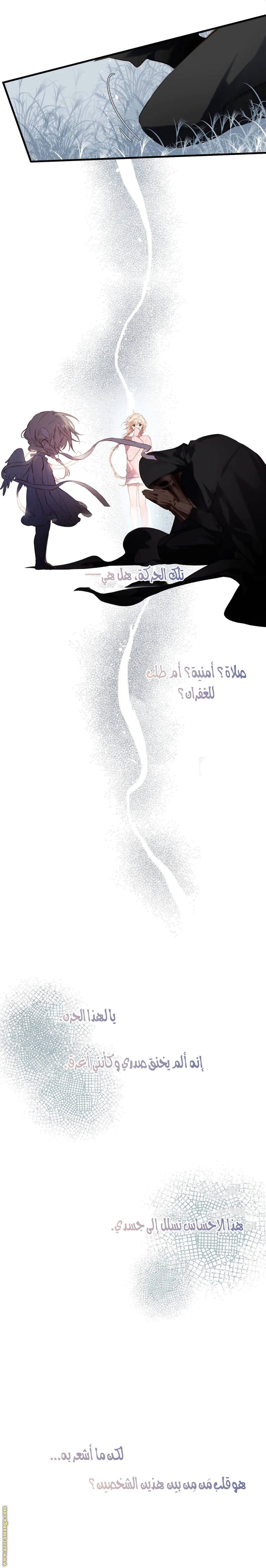 الصفحة 14
