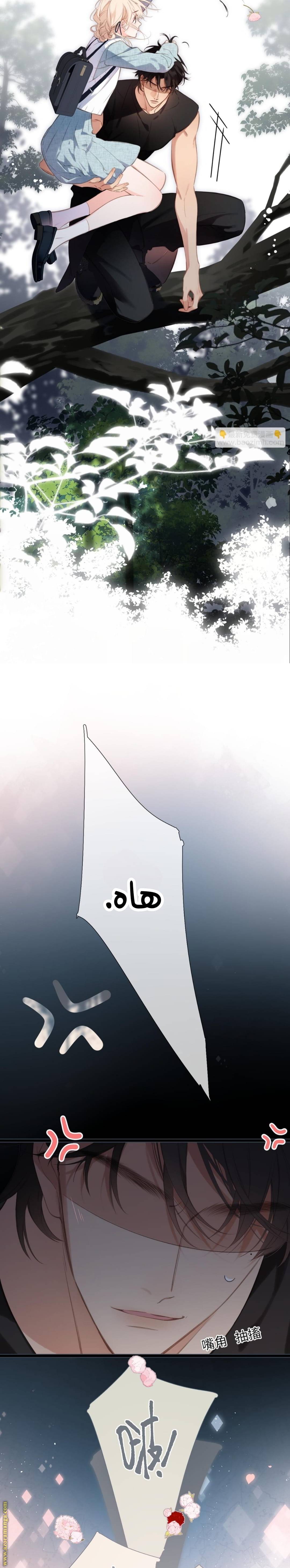 الصفحة 5