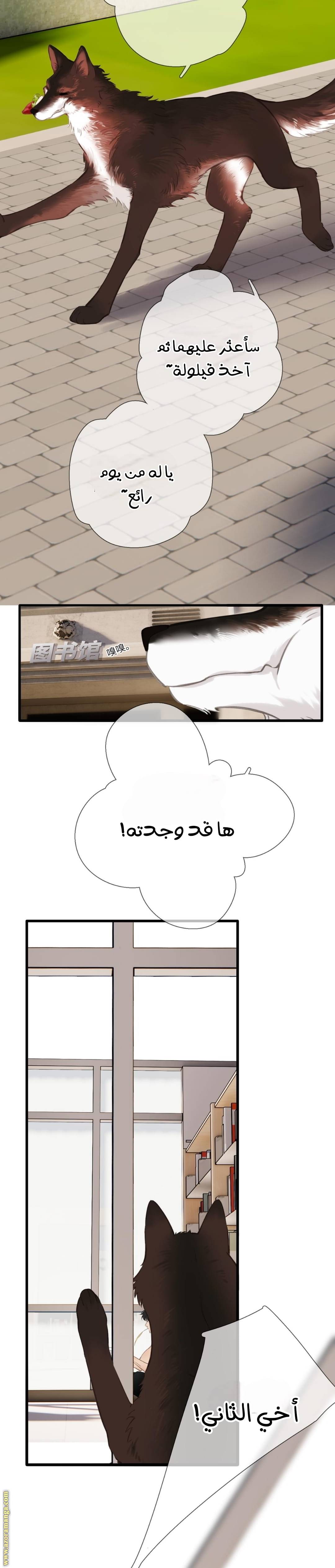 الصفحة 15