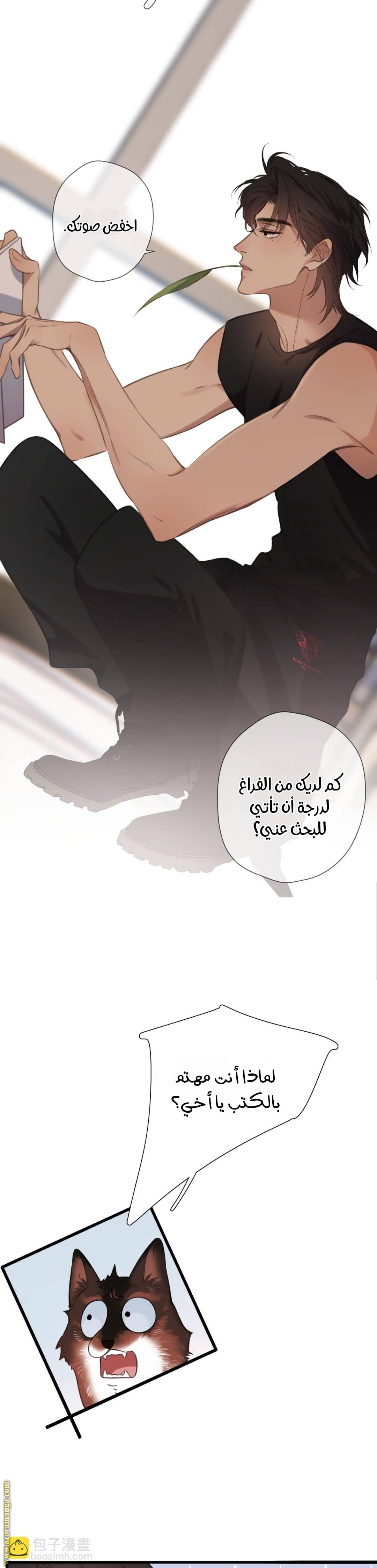 الصفحة 16