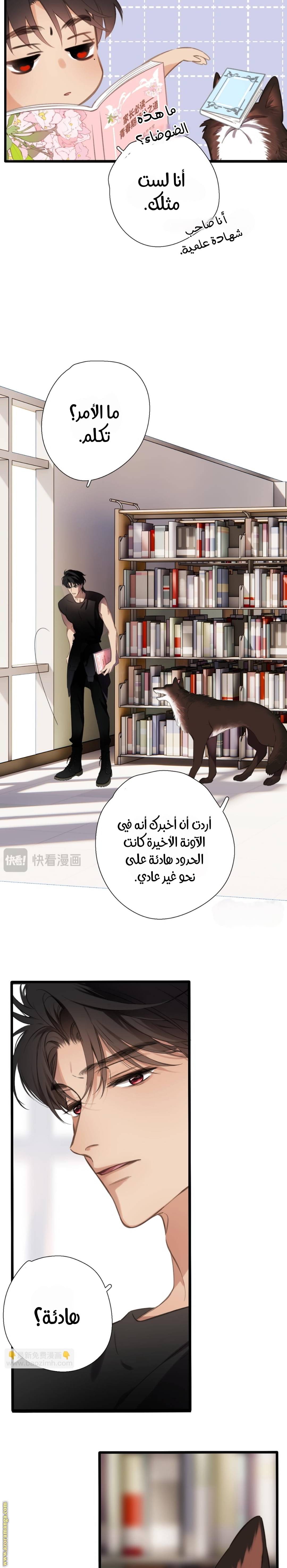 الصفحة 17