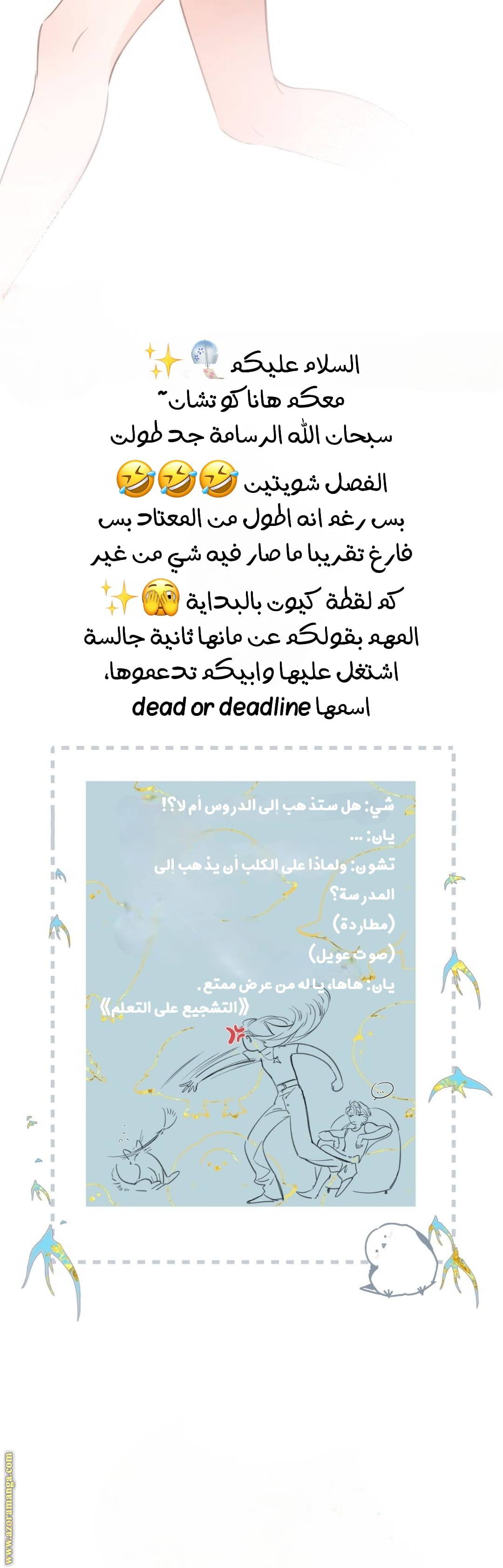 الصفحة 20
