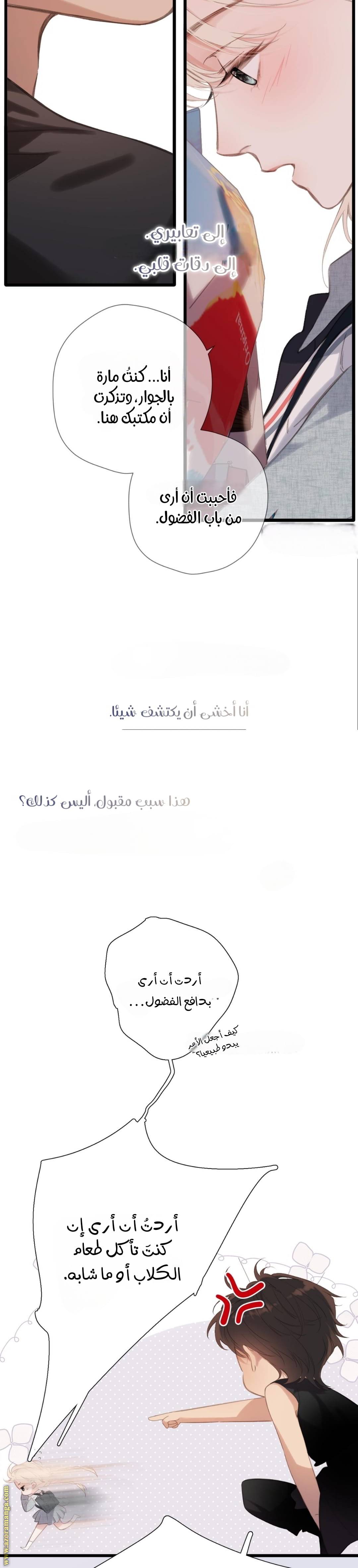 الصفحة 16