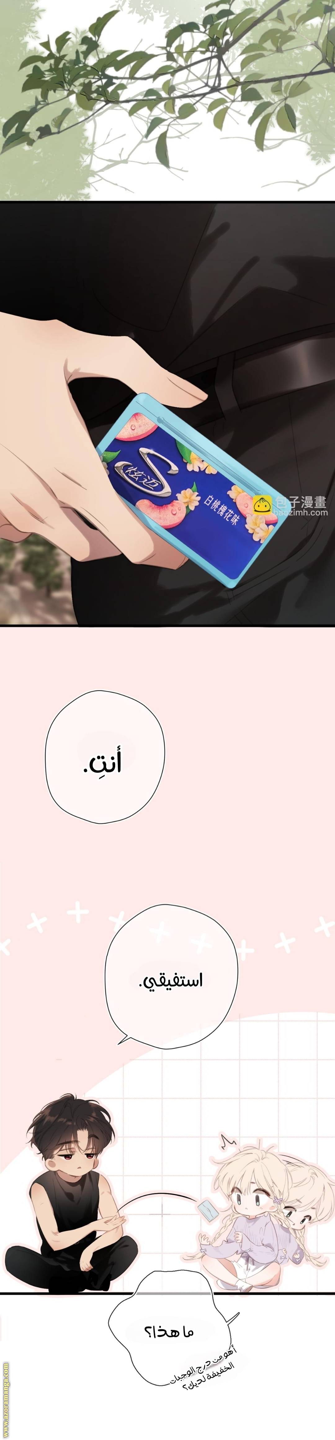 الصفحة 19