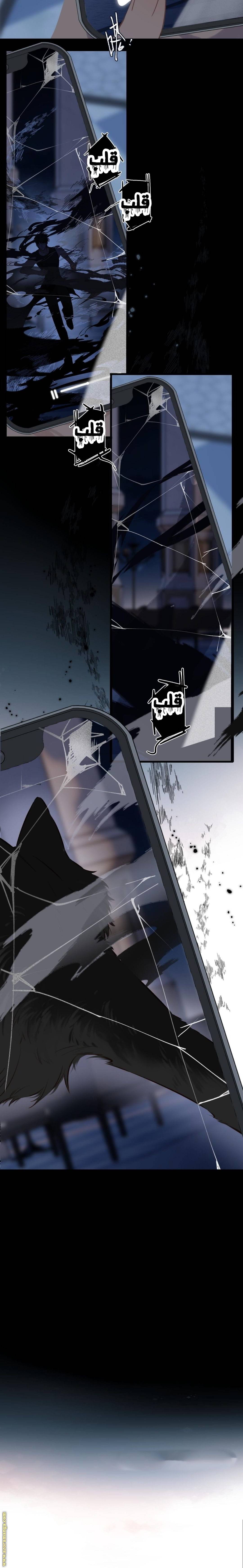 الصفحة 11