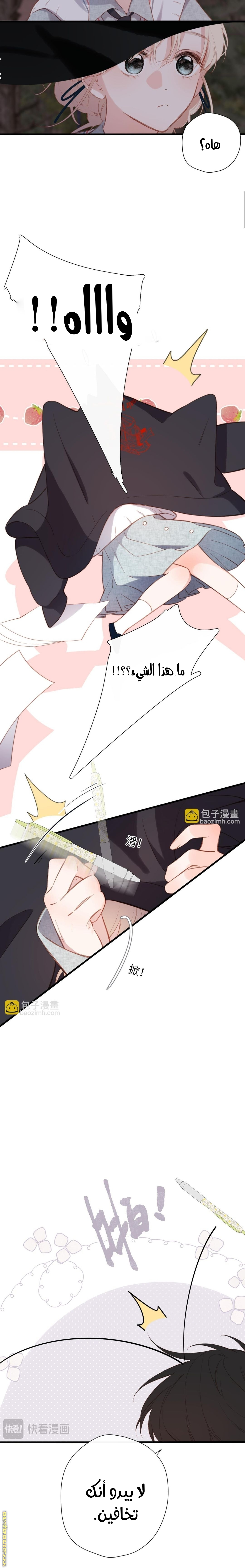 الصفحة 10