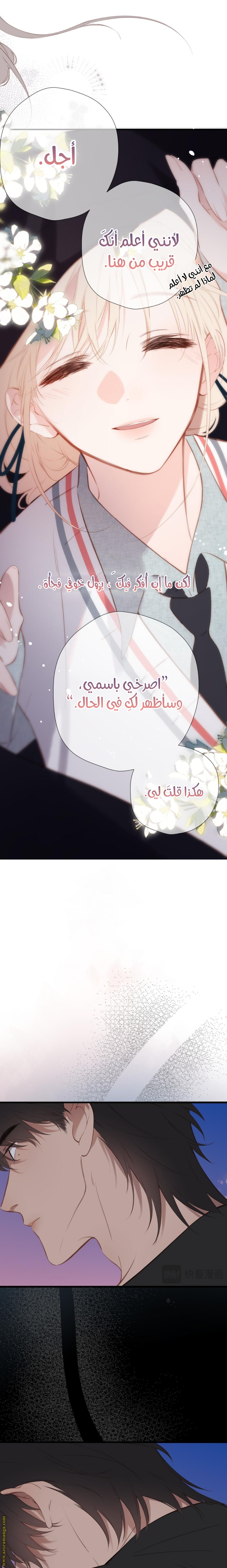 الصفحة 13