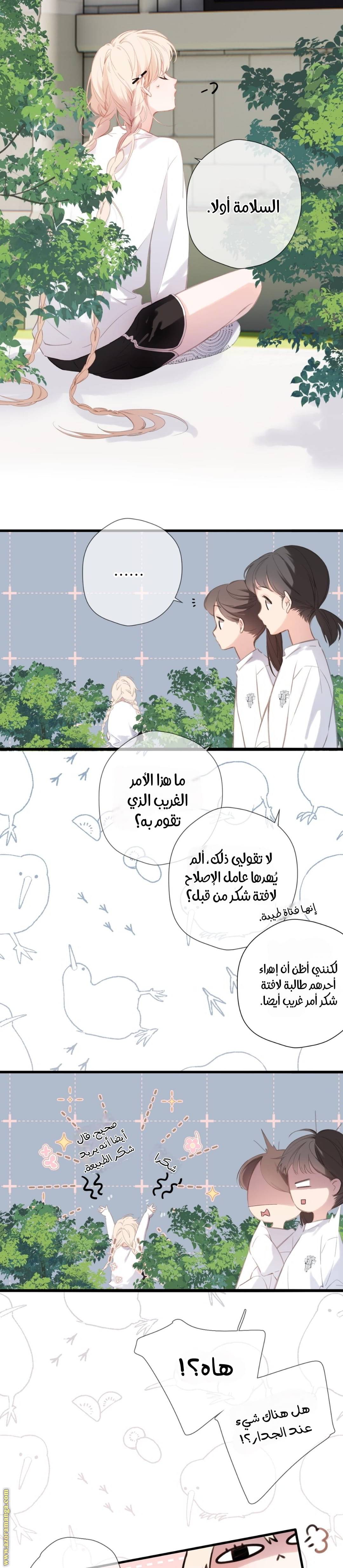 الصفحة 11