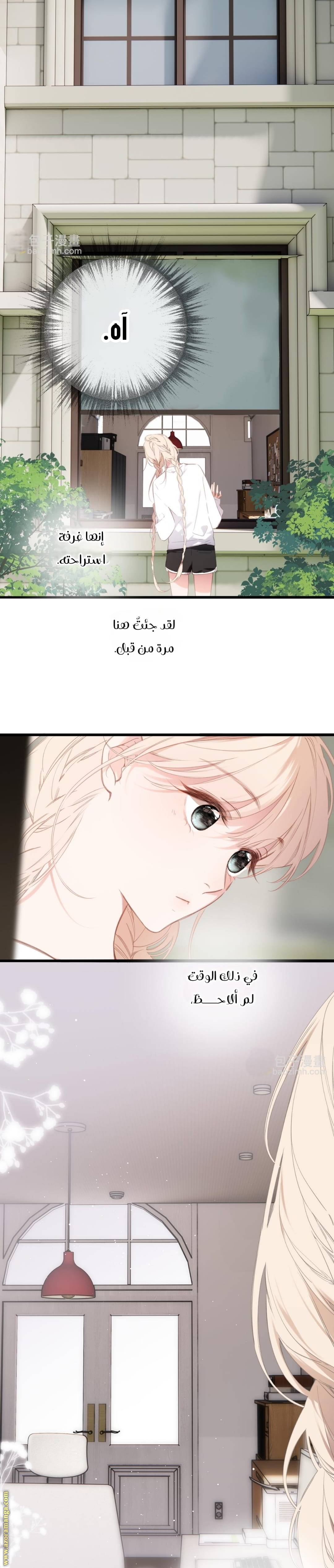 الصفحة 13