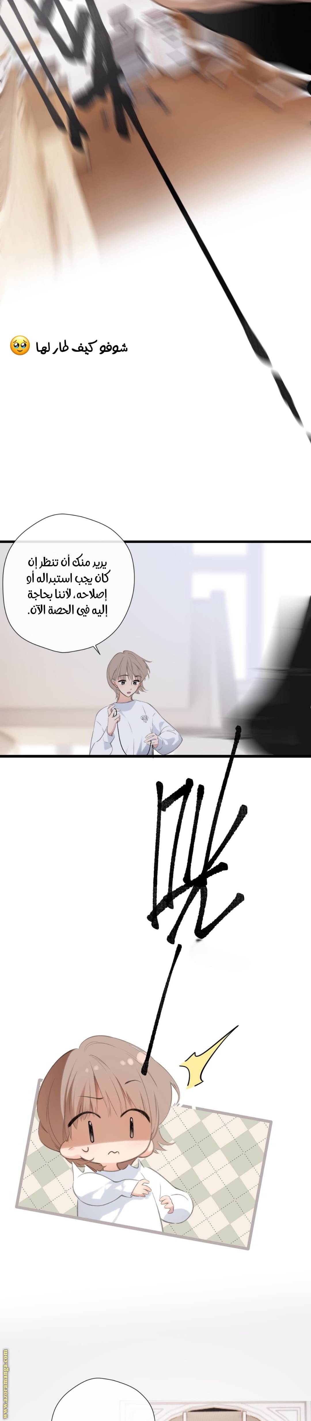 الصفحة 12