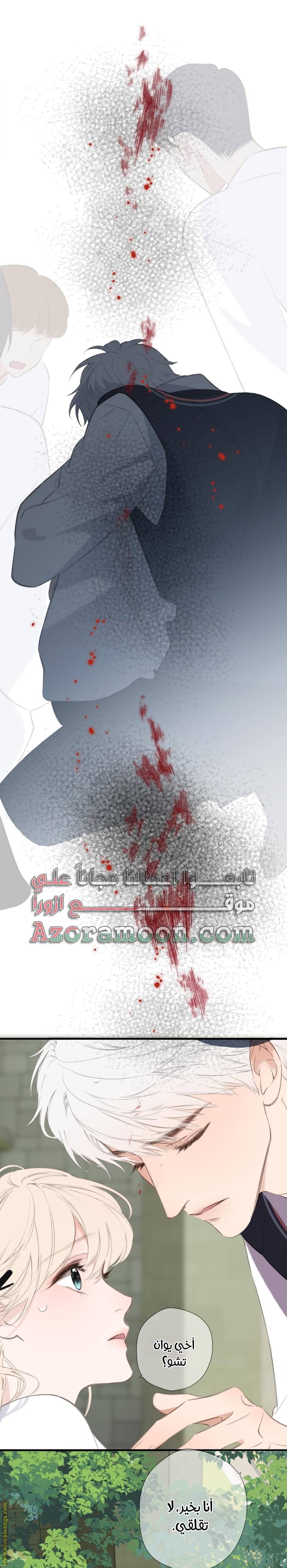 الصفحة 14