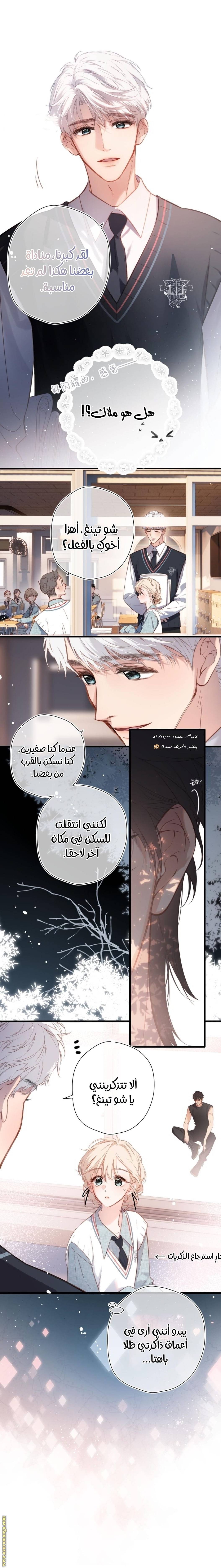 الصفحة 3
