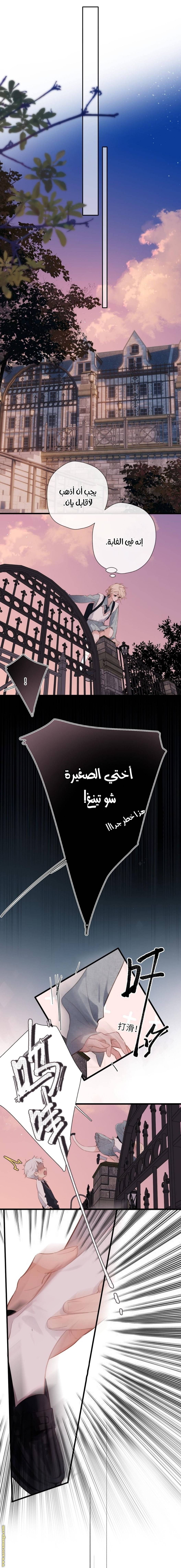 الصفحة 7