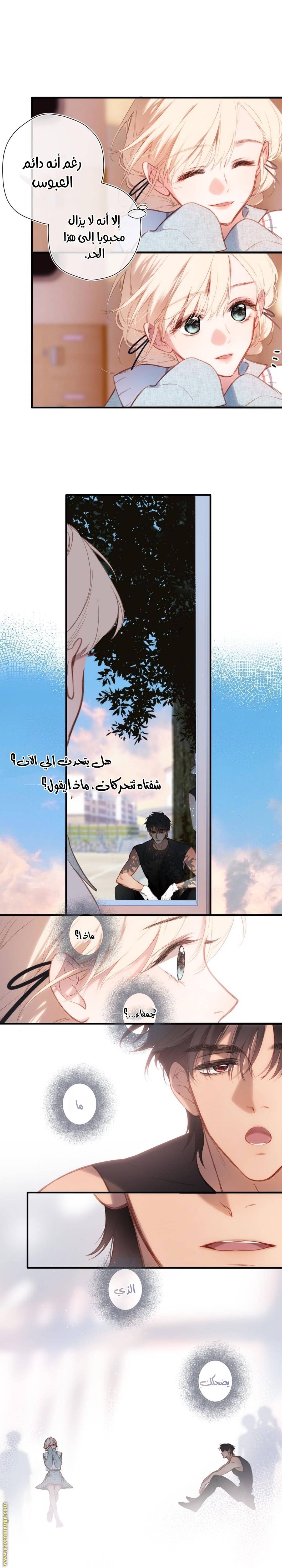 الصفحة 11
