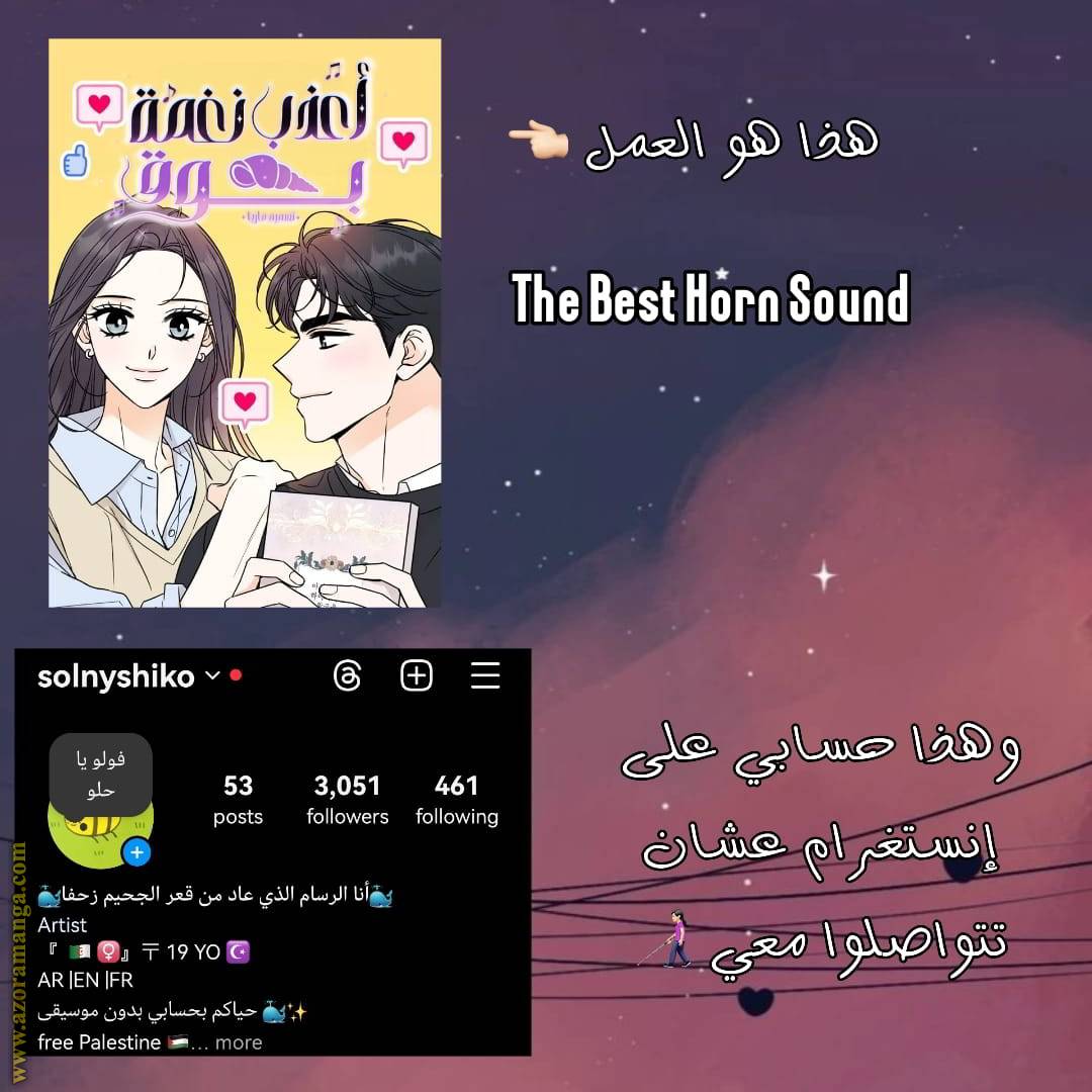 الصفحة 17
