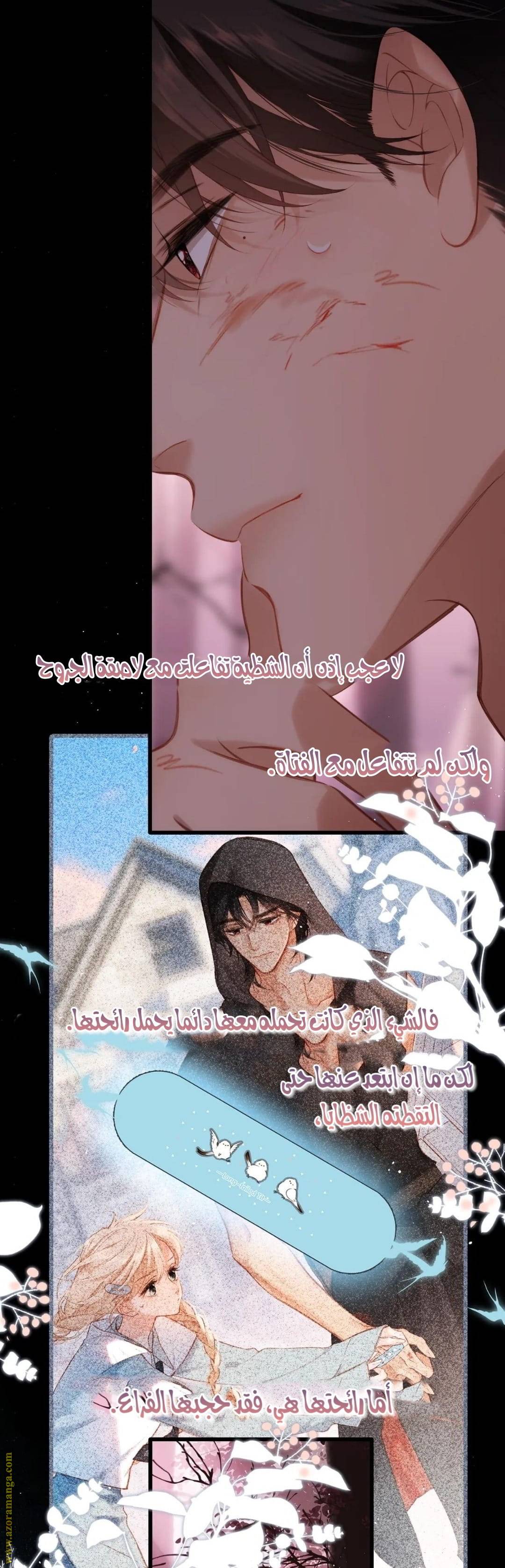 الصفحة 11