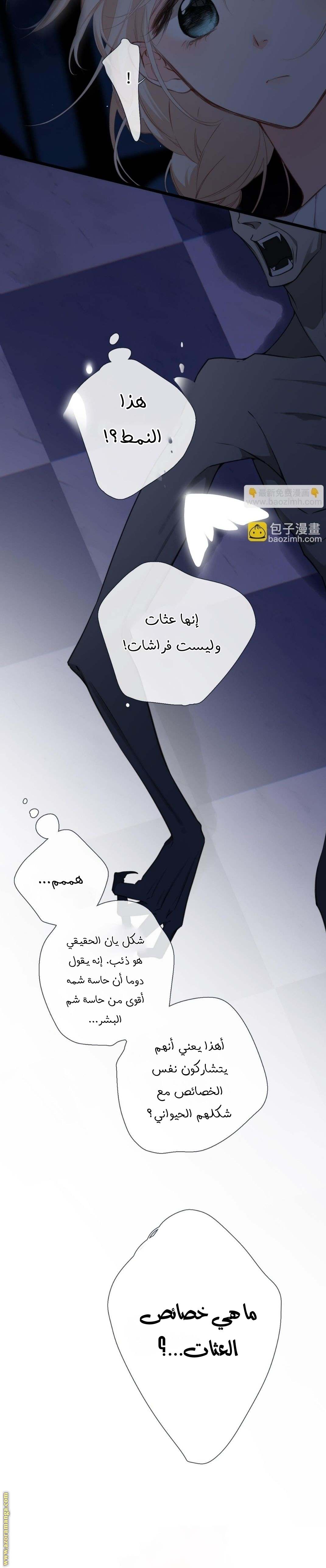 الصفحة 8