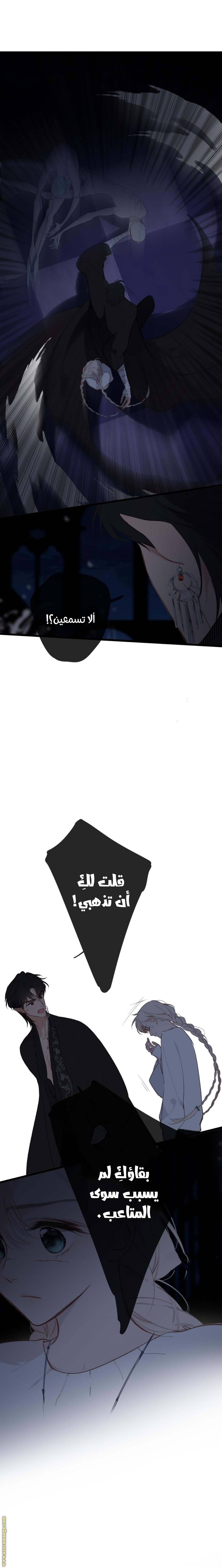 الصفحة 12