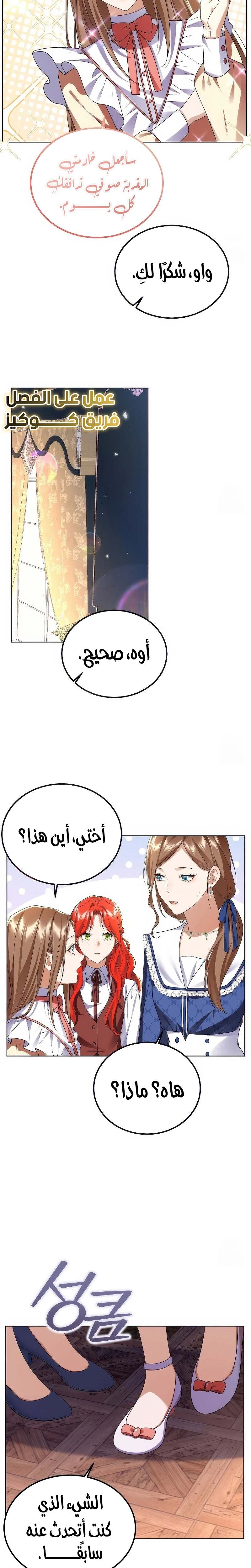 الصفحة 17