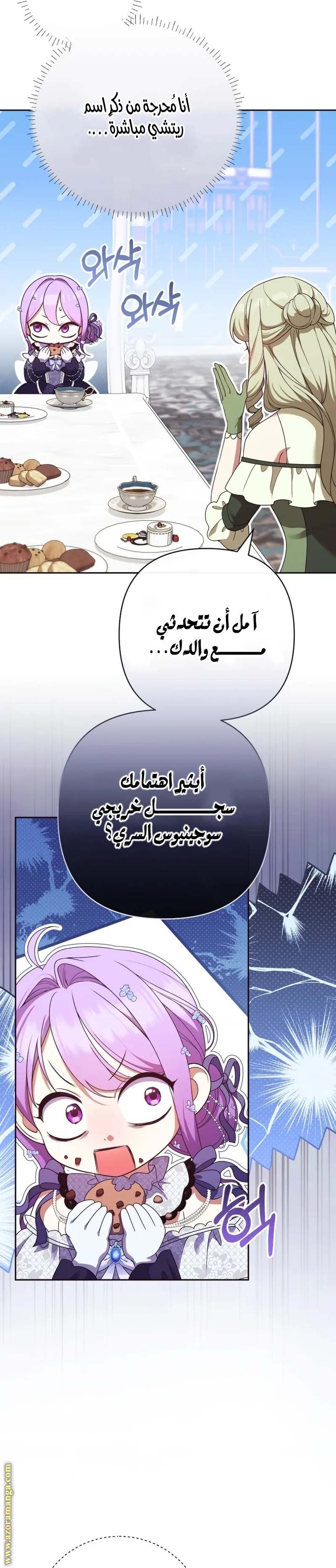 الصفحة 28