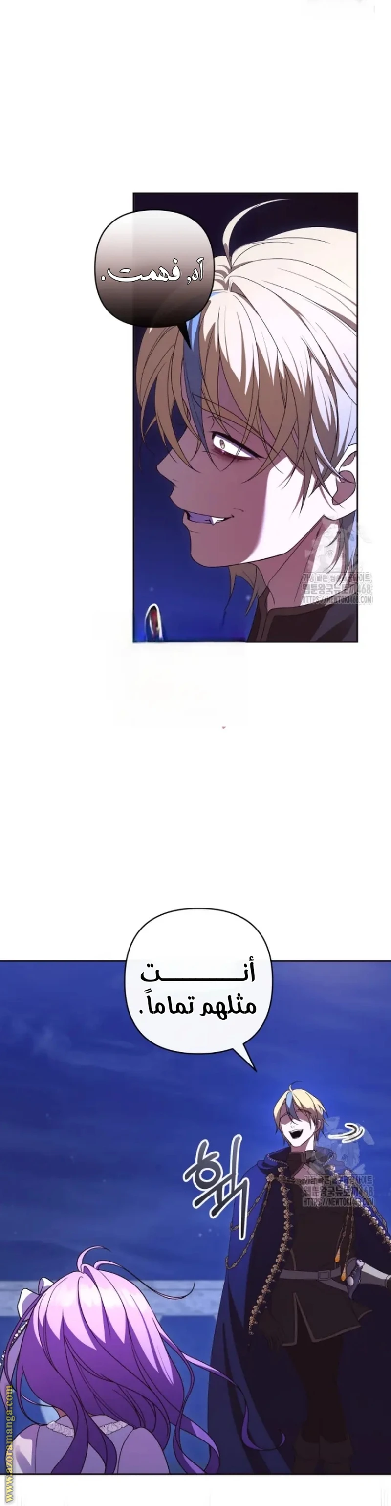 الصفحة 11