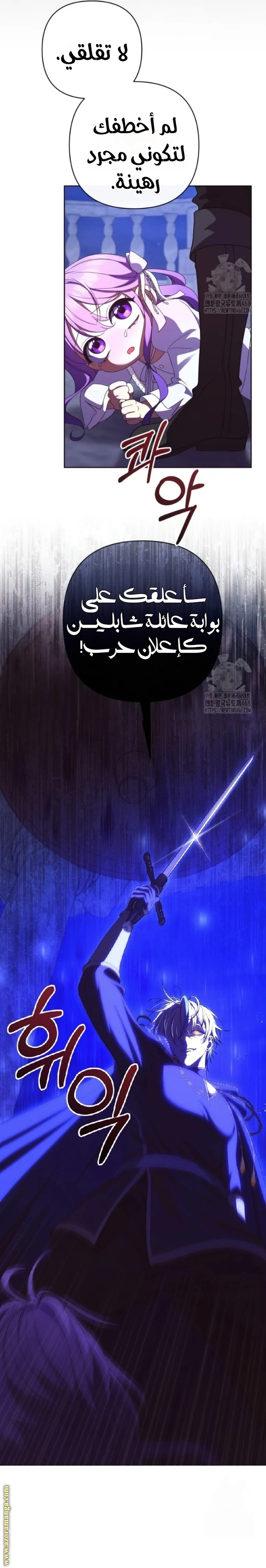 الصفحة 17