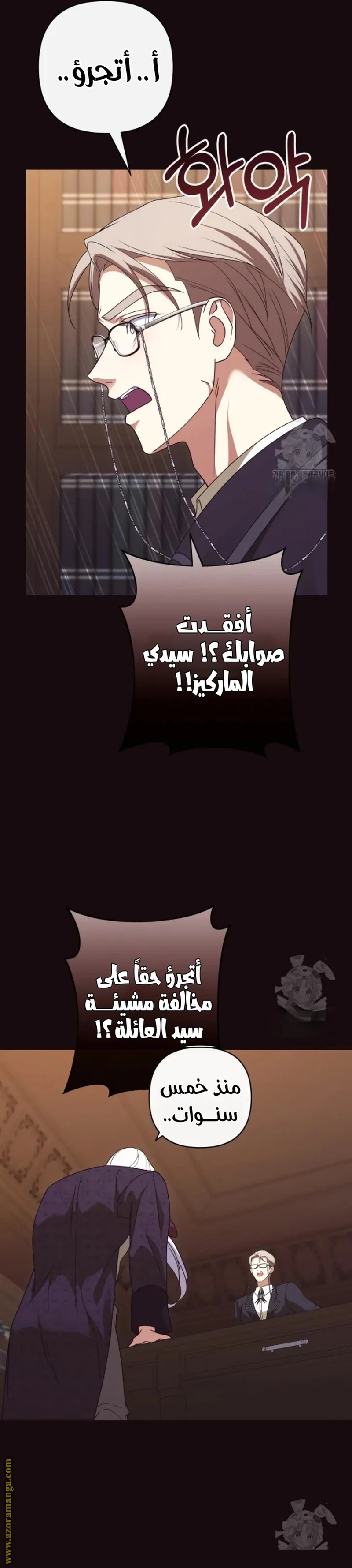 الصفحة 25