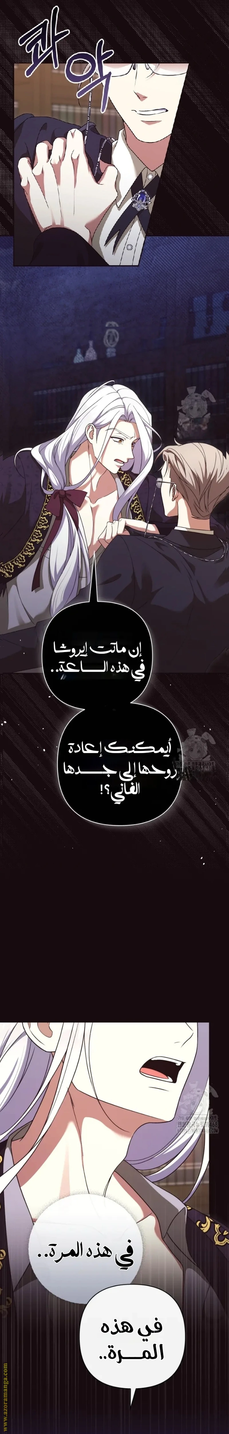 الصفحة 27