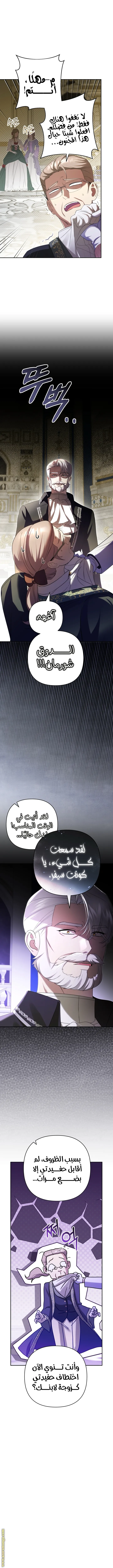 الصفحة 3