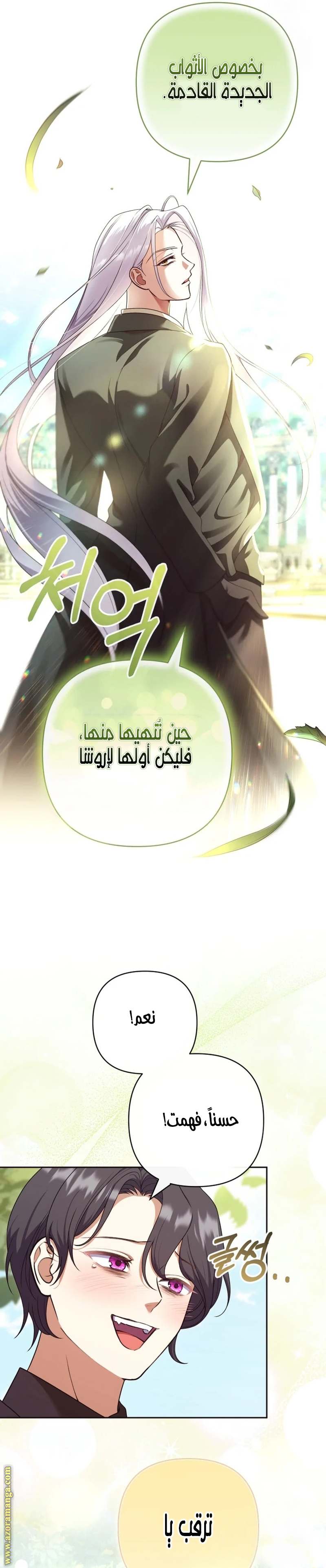 الصفحة 25