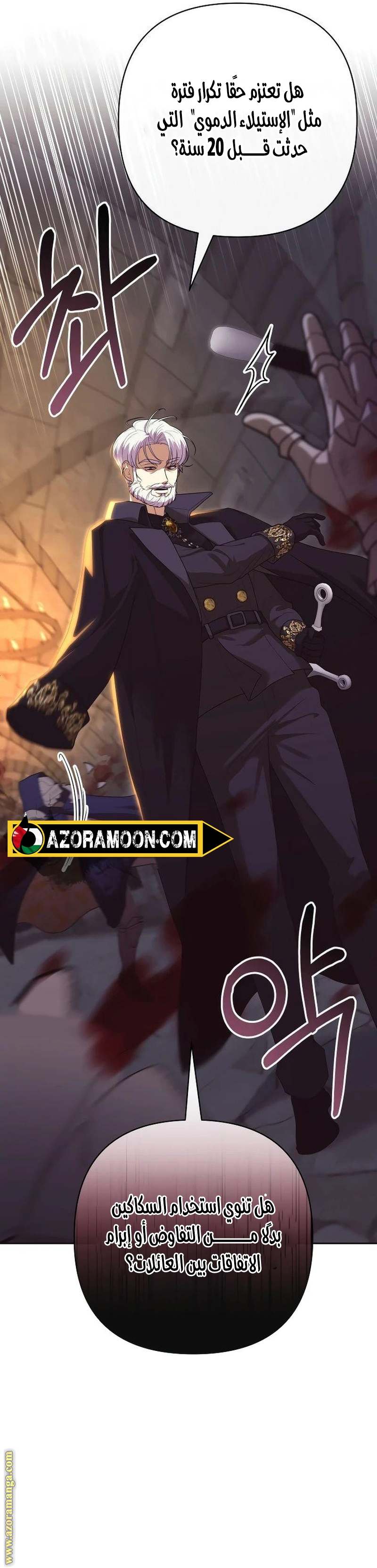 الصفحة 17