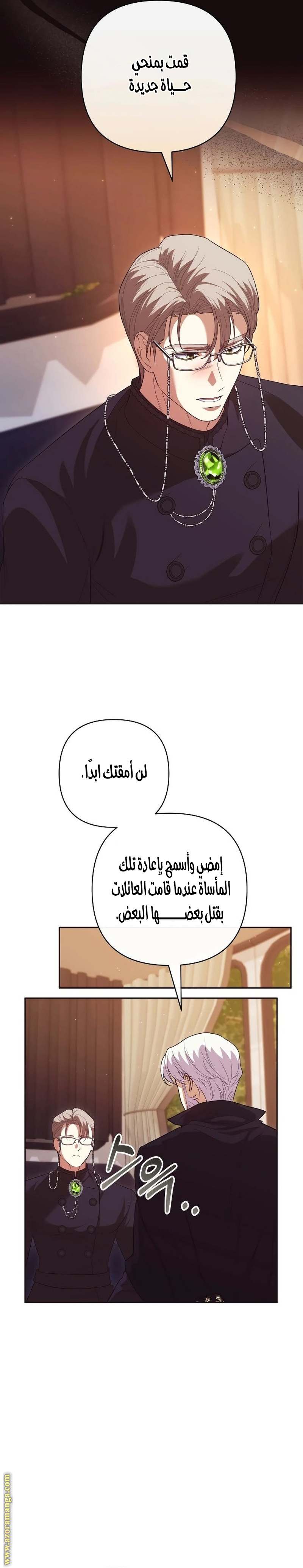 الصفحة 26