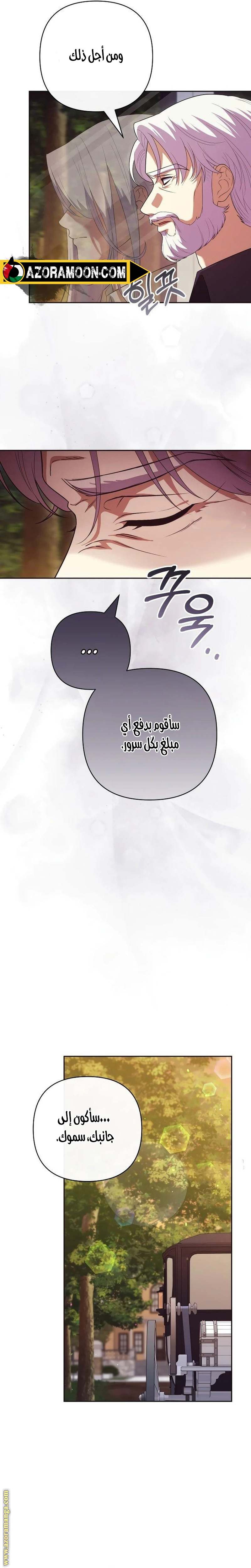الصفحة 27
