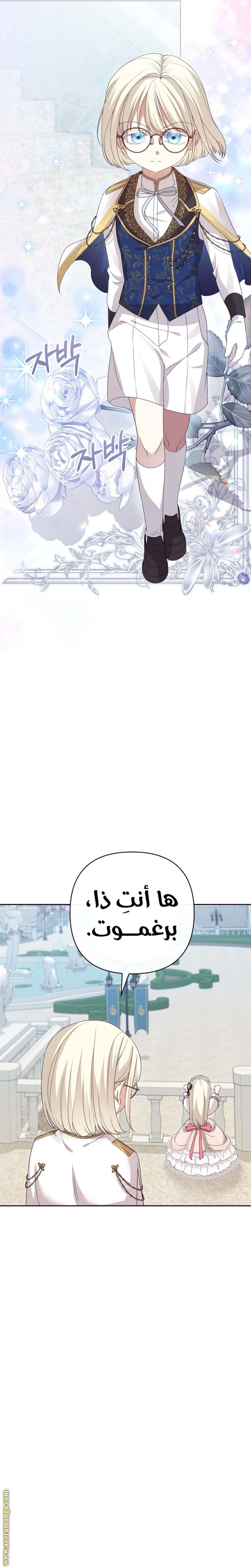 الصفحة 13
