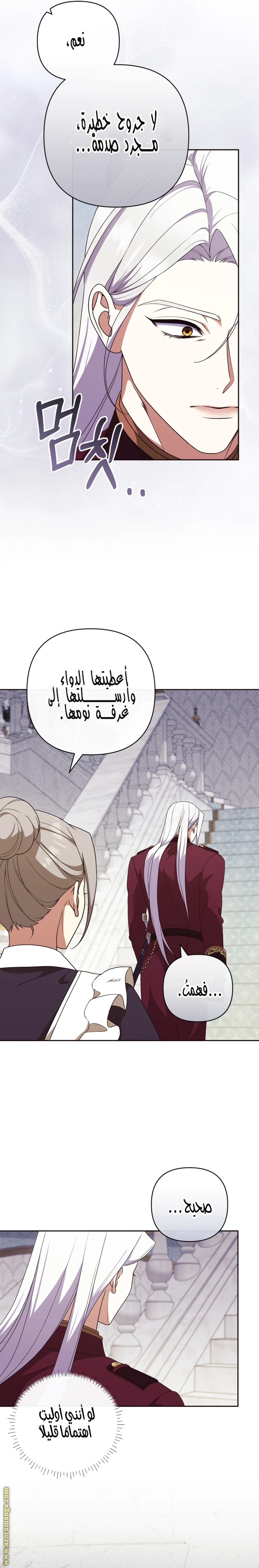 الصفحة 17