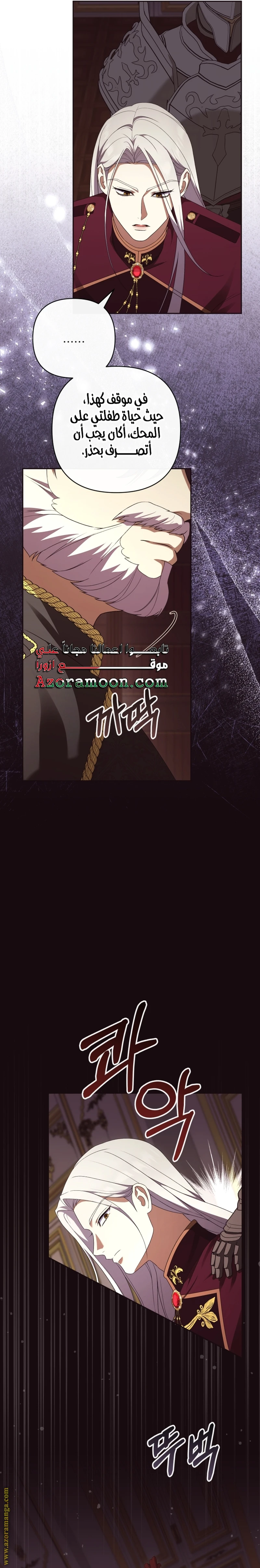 الصفحة 27