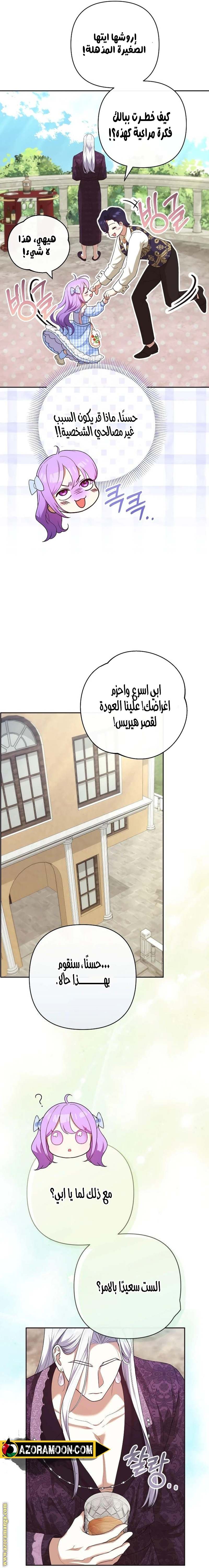 الصفحة 17