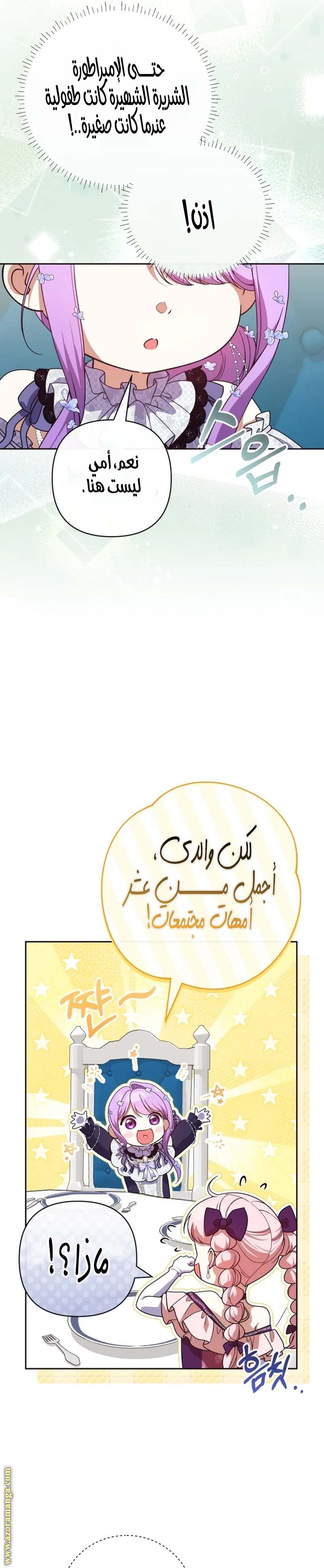 الصفحة 17