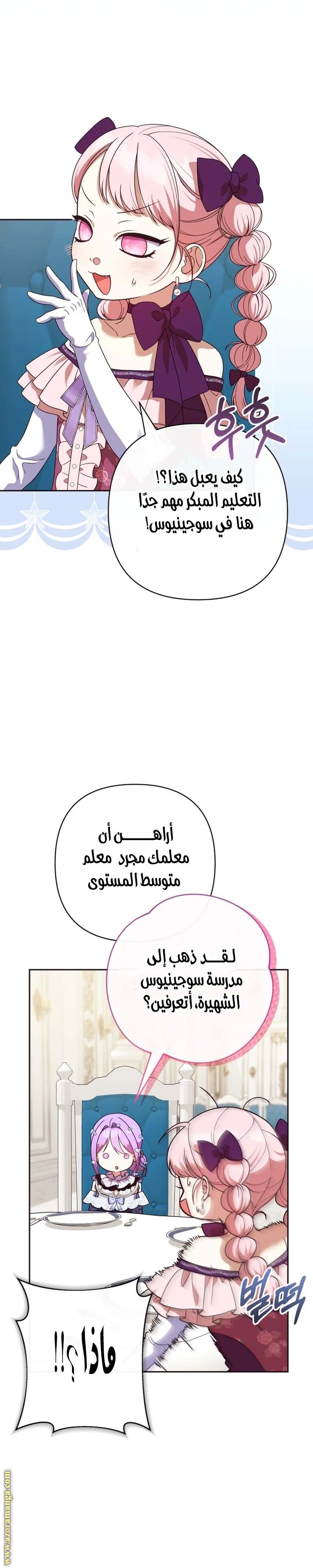 الصفحة 19