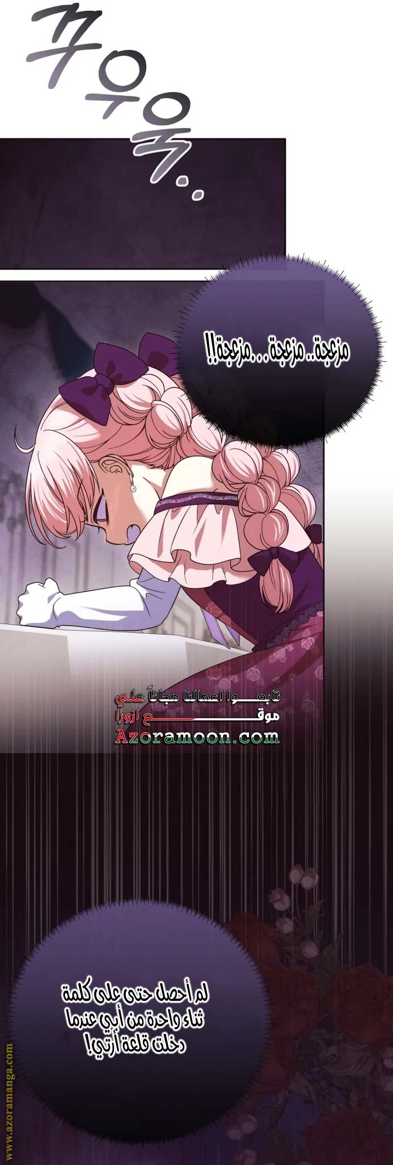 الصفحة 24