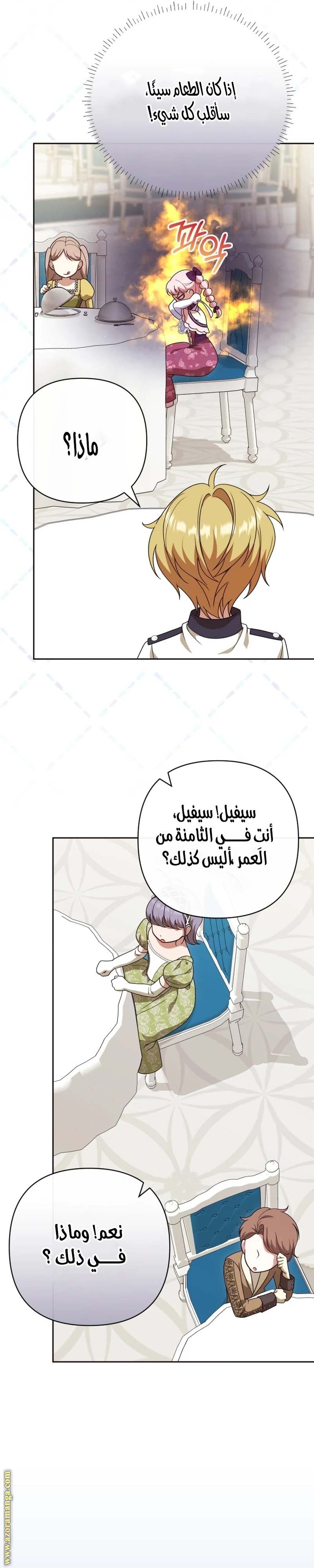 الصفحة 26