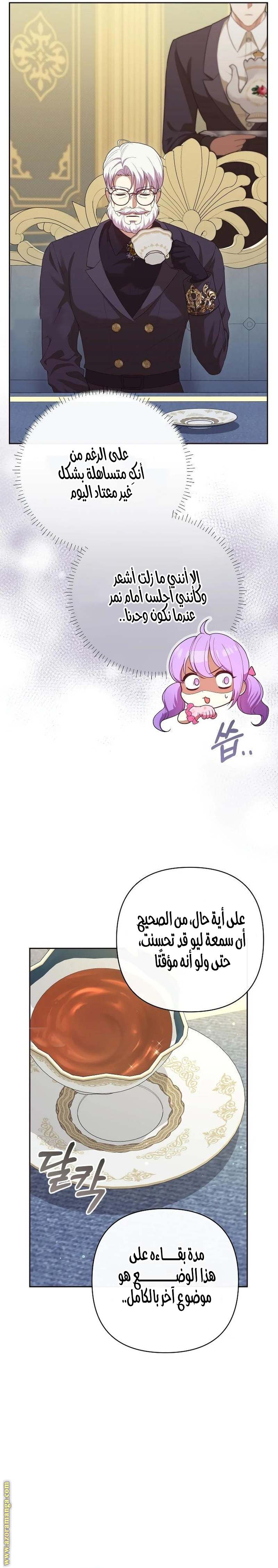 الصفحة 26